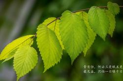 pg中国登录入口-太阳巅峰对决，欧文彻底打爆防线，马刺如何应对？