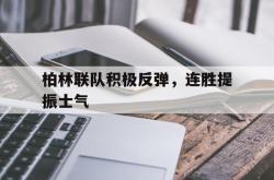 PG电子试玩-柏林联队积极反弹，连胜提振士气