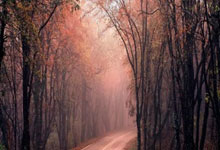 pg中国官网-西班牙俄罗斯对决，胜者将领先