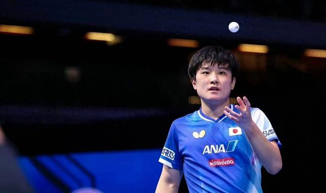 英国乒乓球队轻取波兰乒乓球队，张本智和高光表现的简单介绍